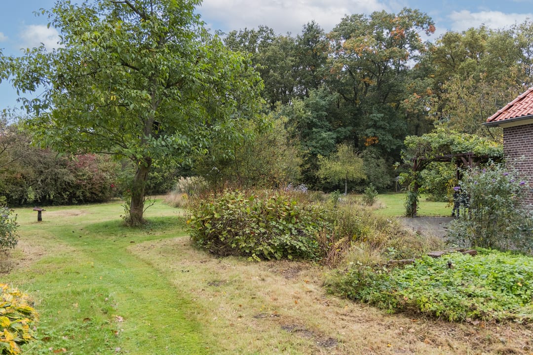 Foto 56 van Schoneveldsdijk 28