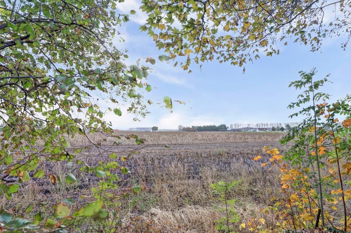 Foto 24 van Nazareth 6