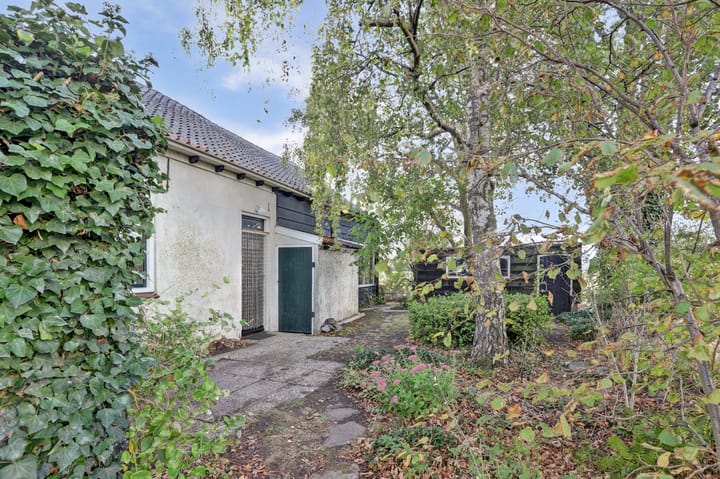 Foto 25 van Nazareth 6