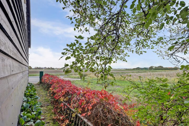 Foto 28 van Nazareth 6