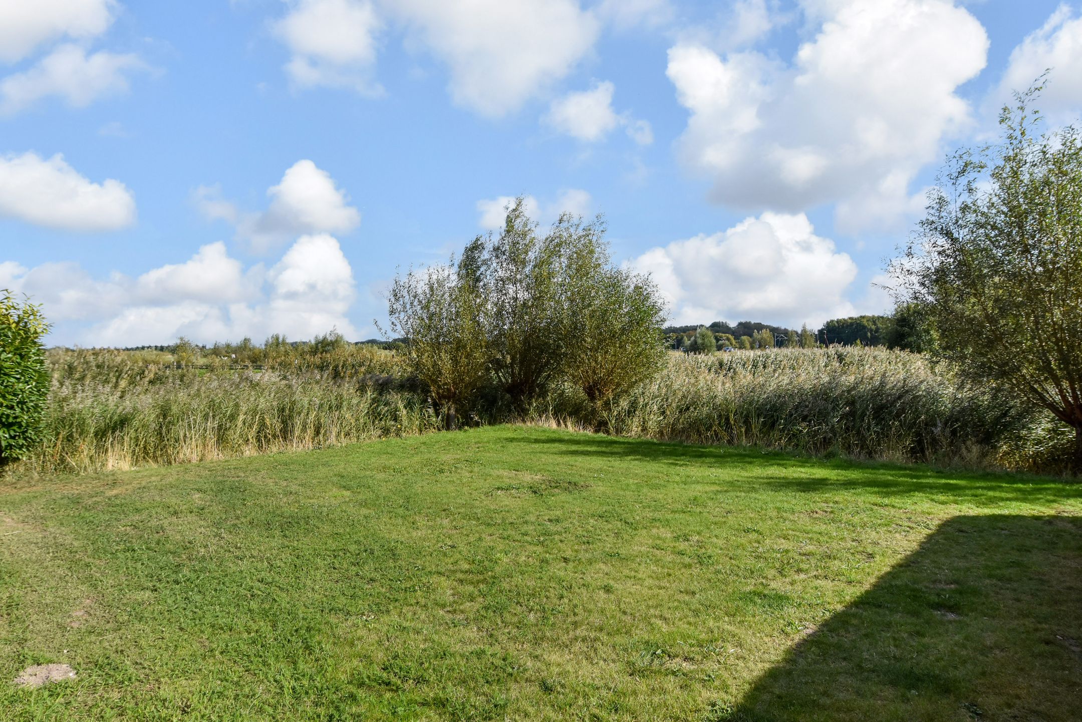 Foto 45 van Rietkade 36