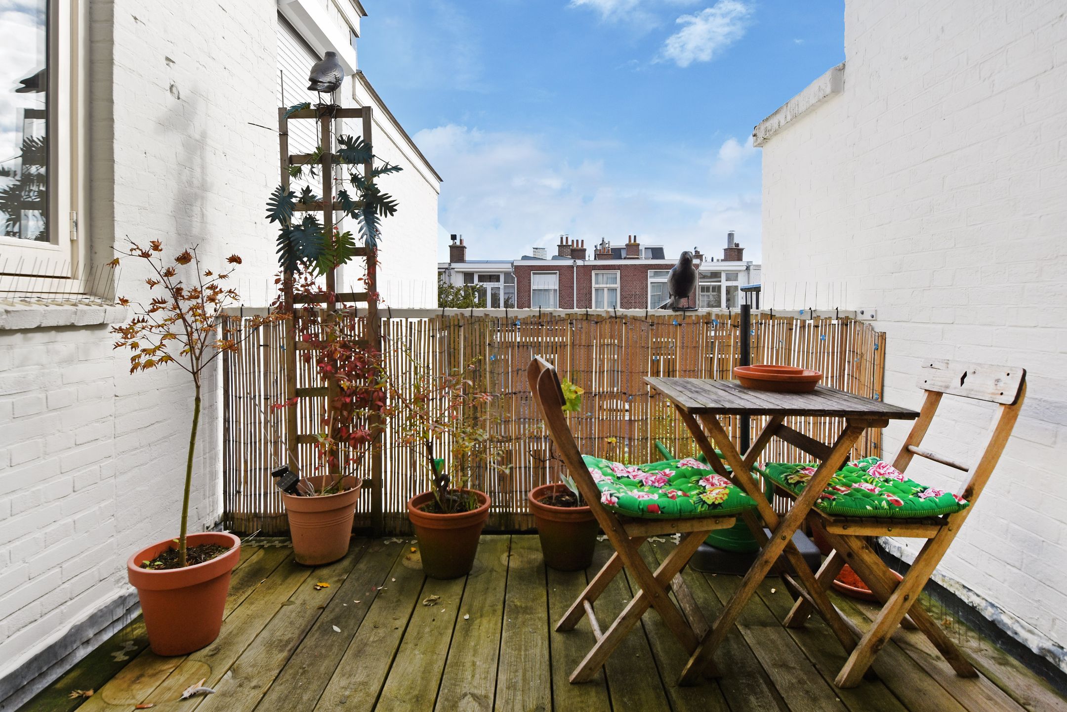 Foto 24 van Van Beverningkstraat 114-A