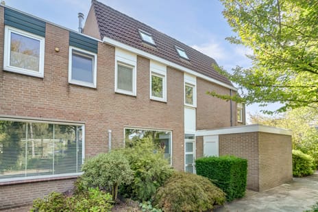 undefined main image