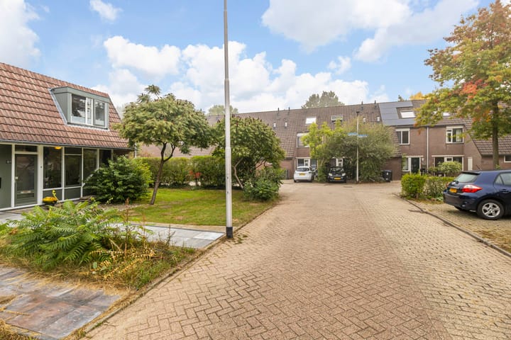 Foto 22 van Hegdambroek 1217