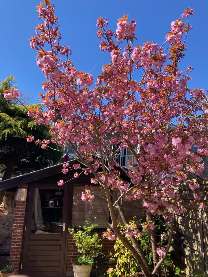 Foto 25 van Bilderdijkstraat 60