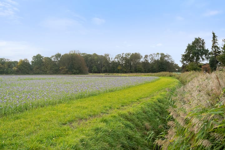 Photo 38 of Kruisbooglaan 18