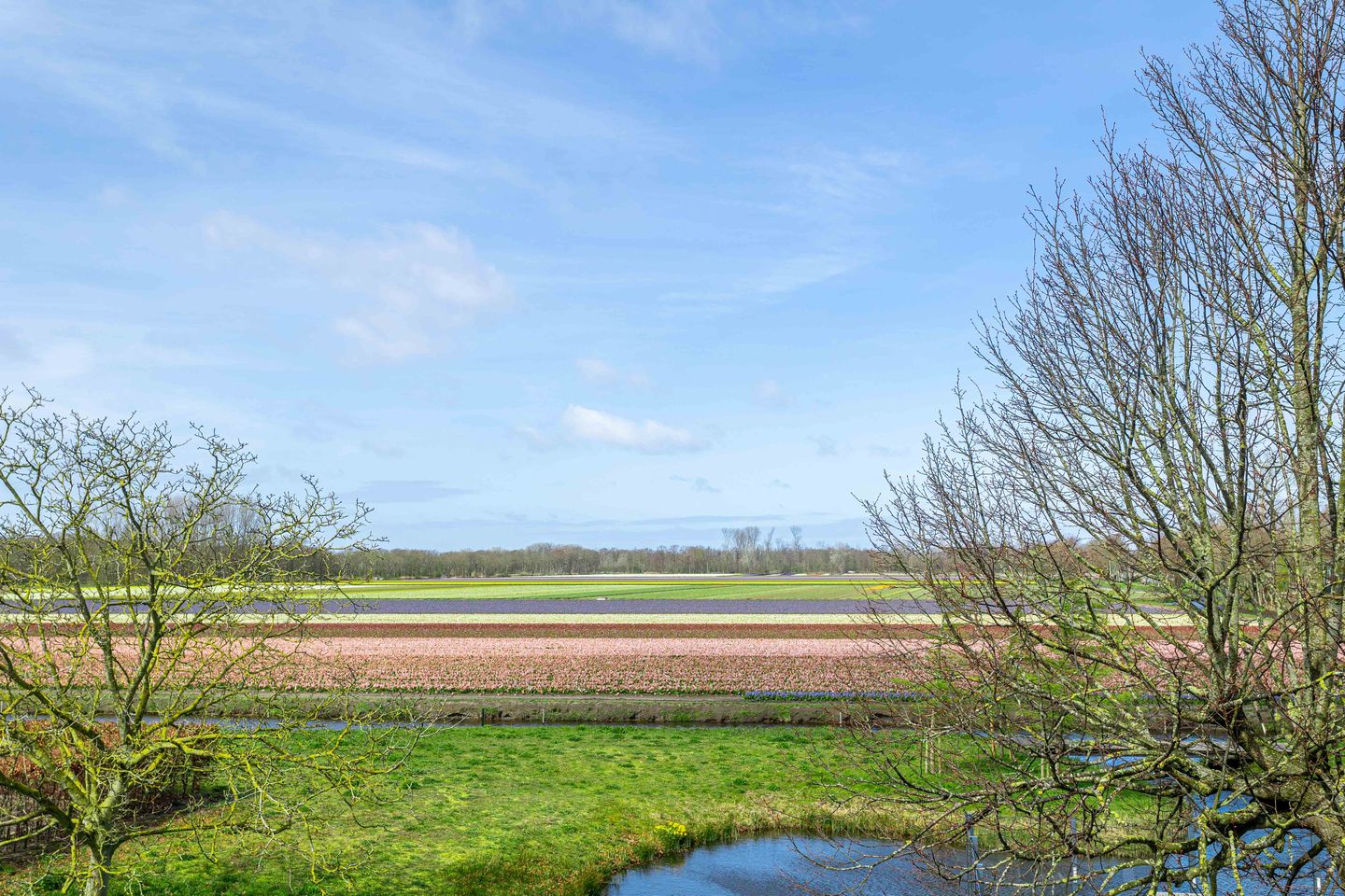 Photo 49 of Achterweg-Zuid 56
