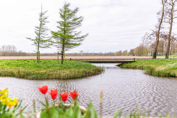 Foto 50 van Achterweg-Zuid 56