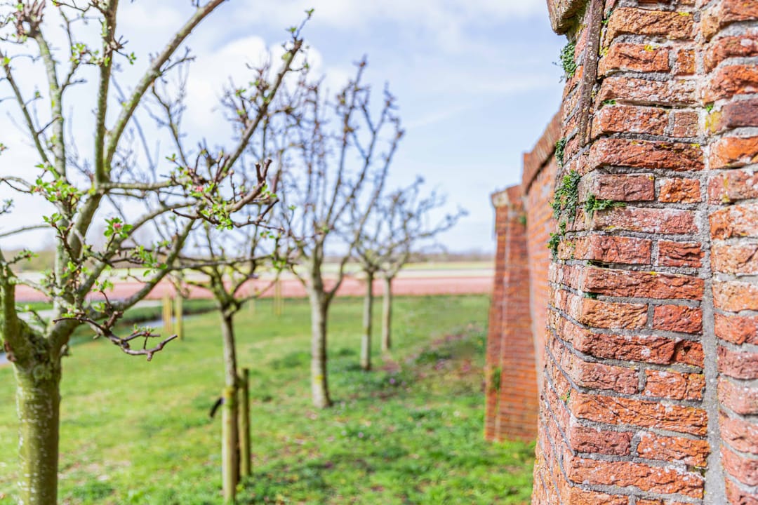 Photo 71 of Achterweg-Zuid 56