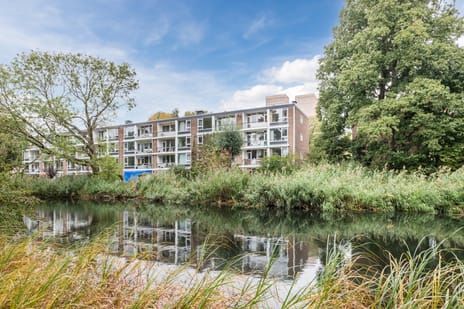 Schierstins thumbnail