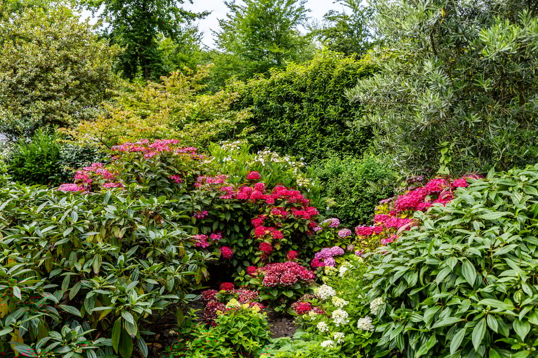 Photo 32 of Parnassialaan 24