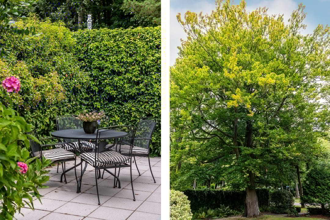 Photo 37 of Parnassialaan 24