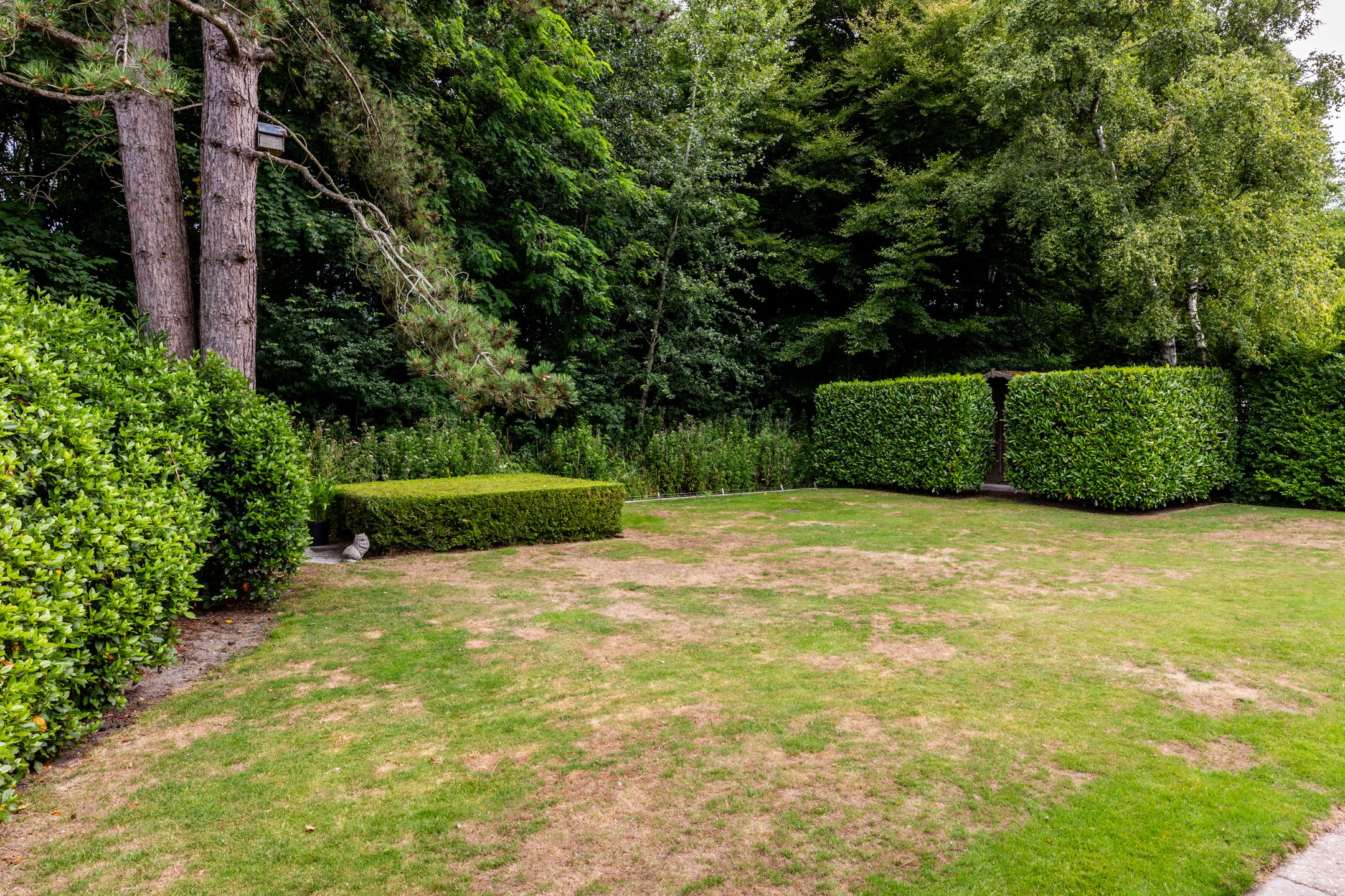 Photo 42 of Parnassialaan 24