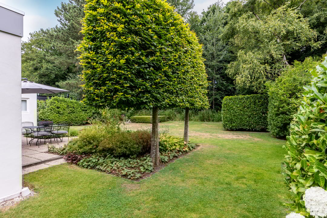 Photo 47 of Parnassialaan 24