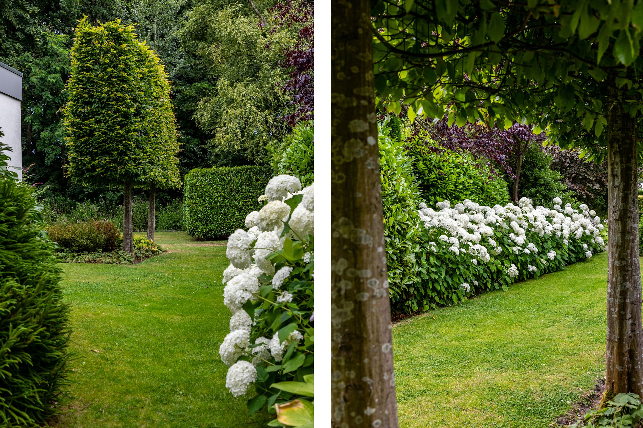 Photo 48 of Parnassialaan 24