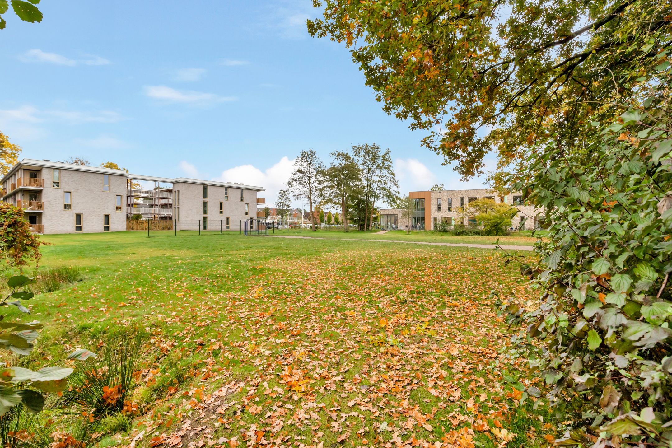 Foto 54 van Boekweitland 12