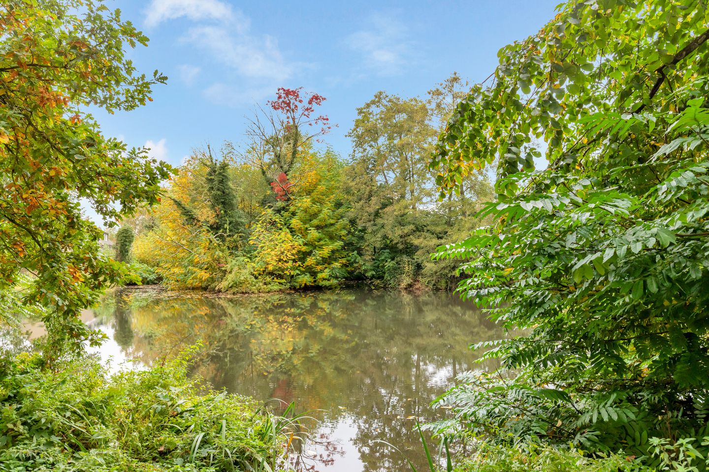 Foto 55 van Boekweitland 12