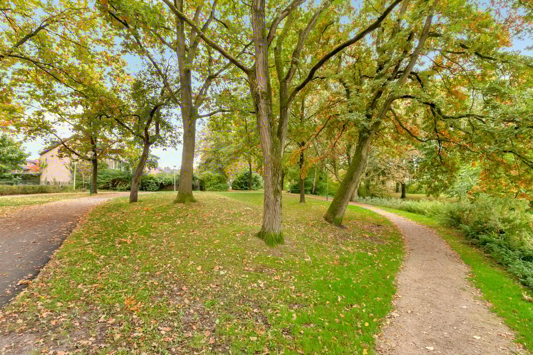 Foto 56 van Boekweitland 12