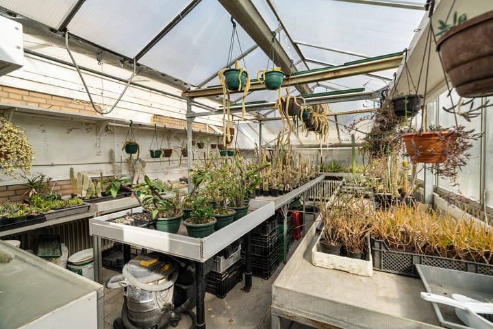 Photo 22 of Onderste Wehr 53