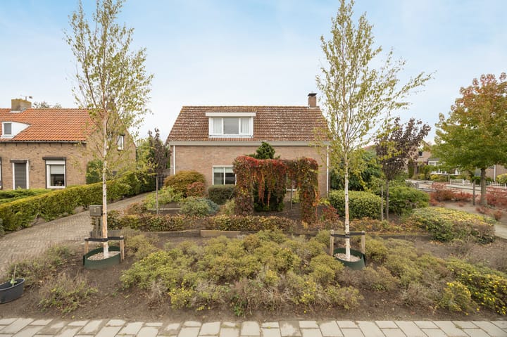 Photo 50 of Marijkestraat 24