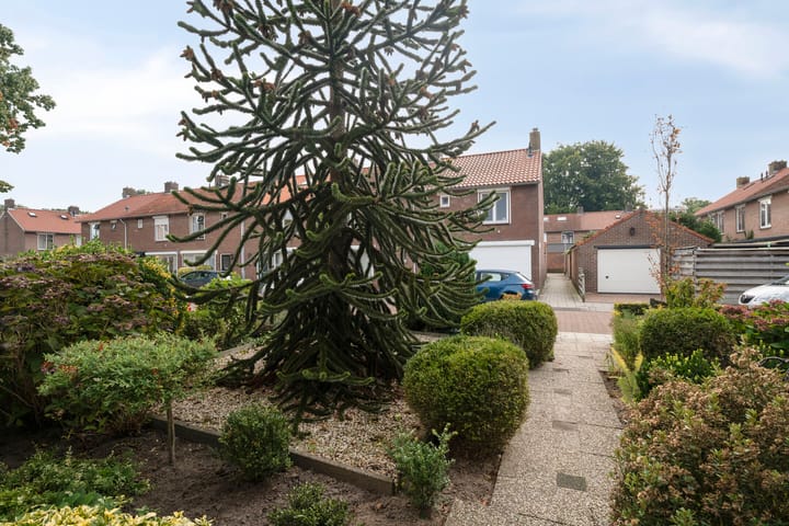 Photo 5 of Hertog Arnoldweg 14