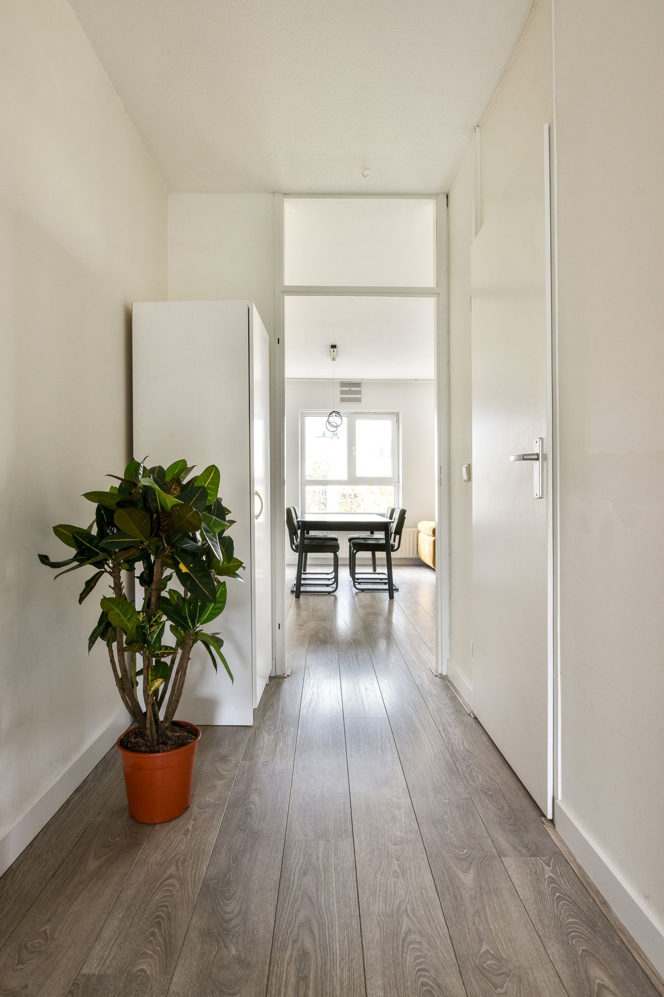 Foto 6 van Daniël Defoelaan 287