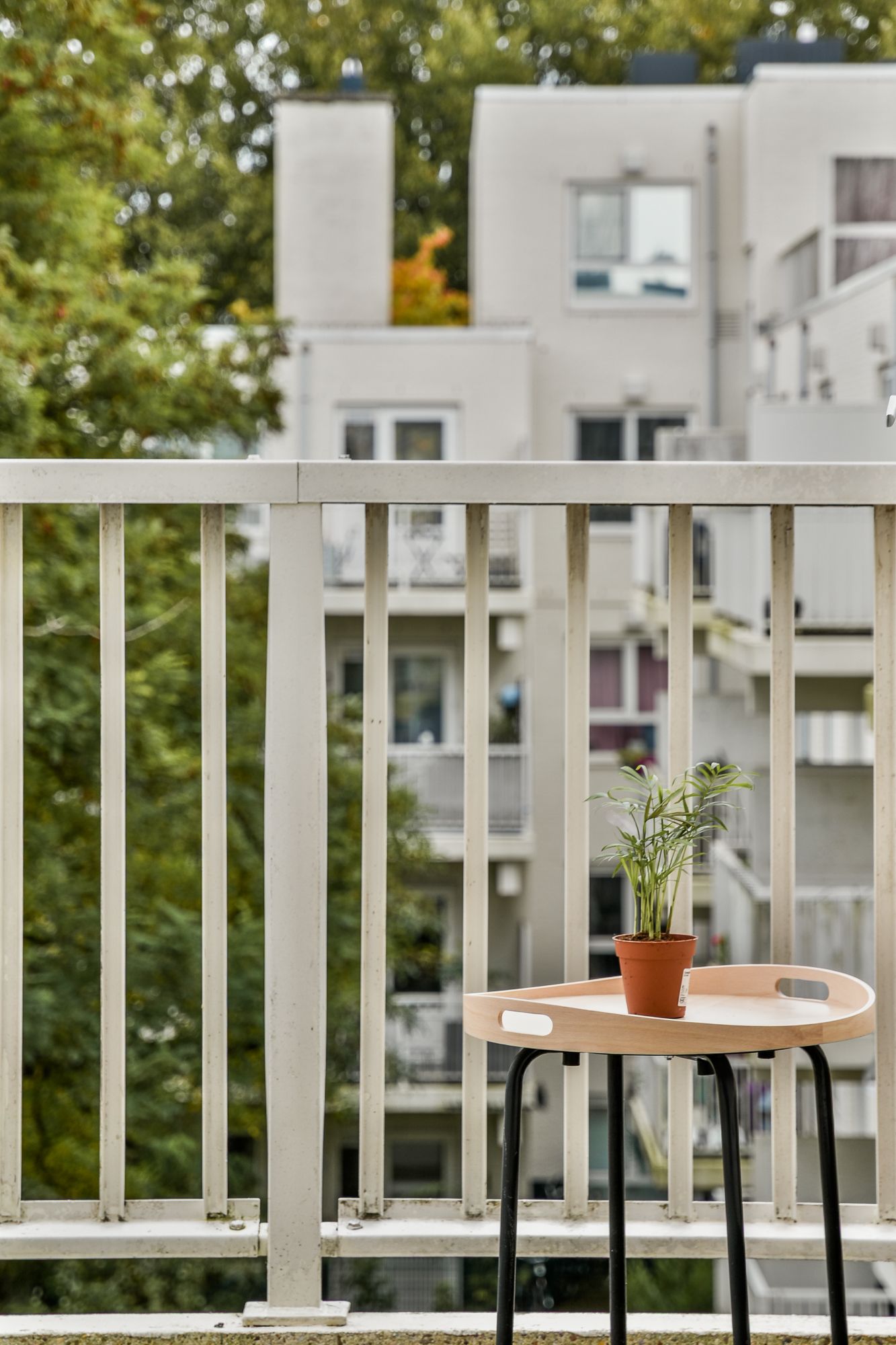 Foto 9 van Daniël Defoelaan 287