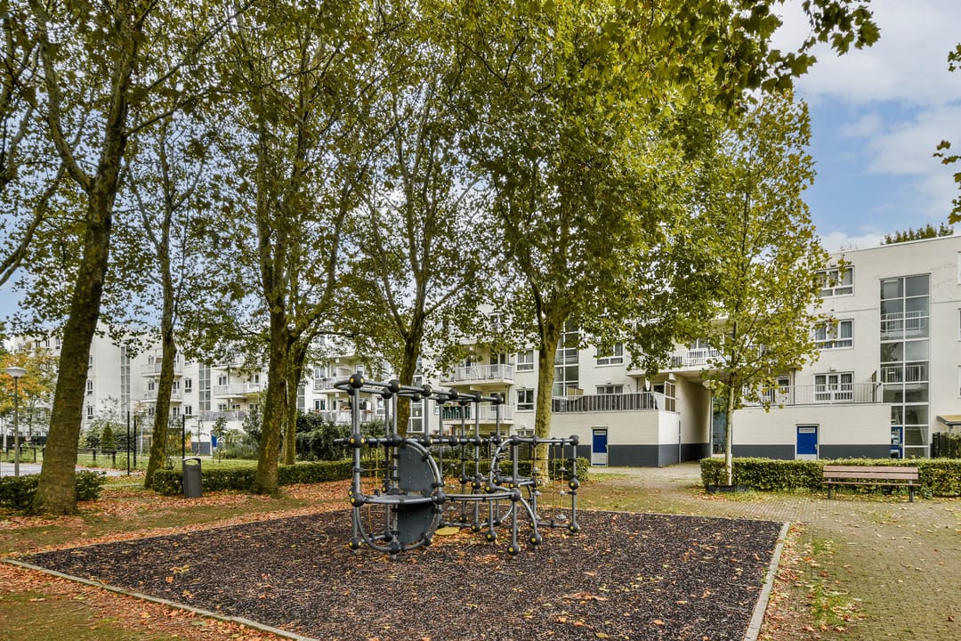 Foto 11 van Daniël Defoelaan 287