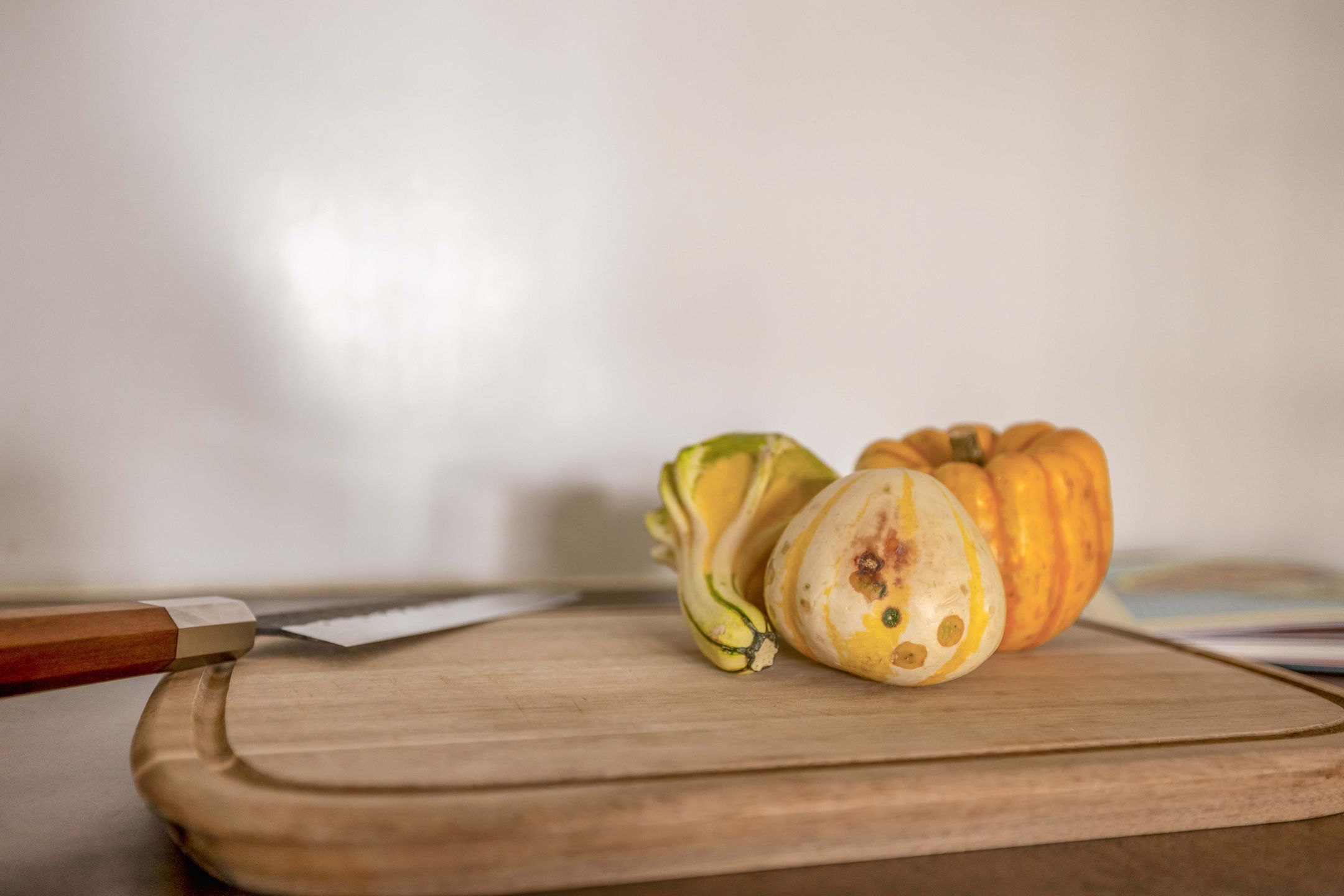 Foto 12 van Mendeldreef 24