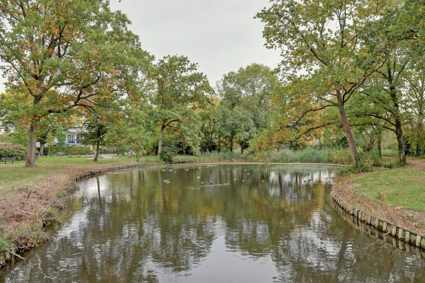 Foto 25 van Toorenvliedtwegje 10