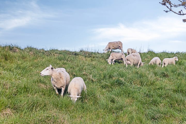 Photo 50 of Christiaanpolderweg 1