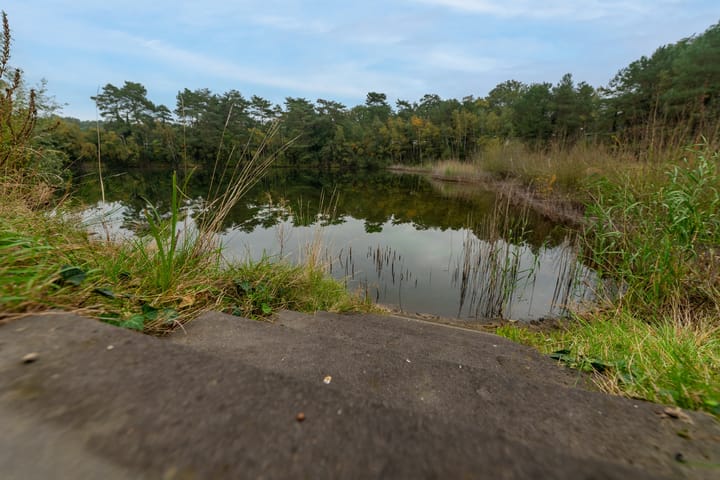 Photo 15 of Dorperheideweg 34-2165