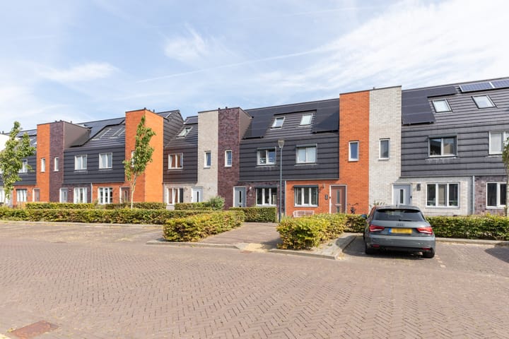 Photo 41 of Rubrum 9