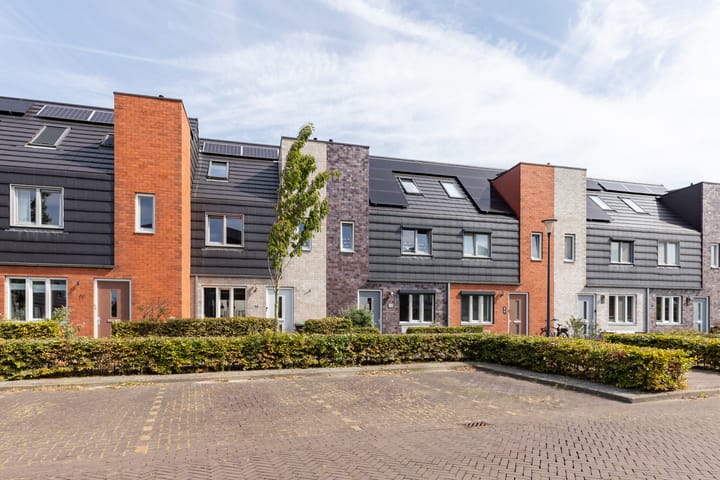 Photo 42 of Rubrum 9