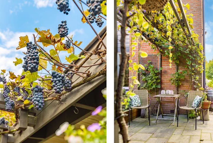 Foto 28 van Dokter W Nijestraat 91