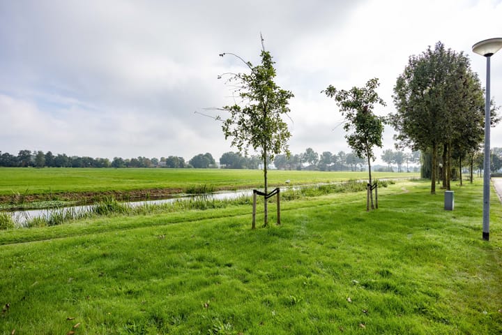 Photo 23 of W F de Boerstraat 8