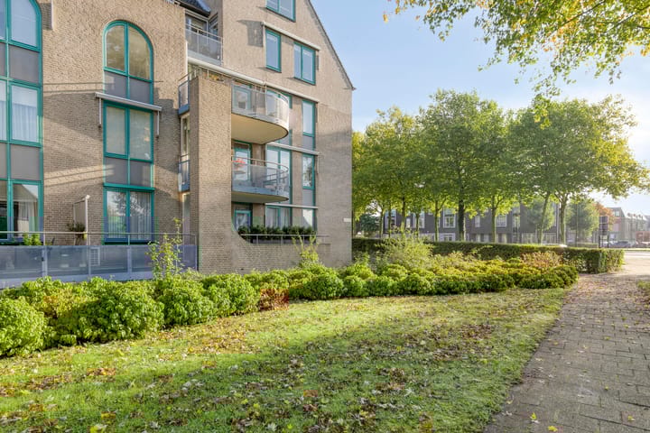 Foto 6 van de Balmerd 233