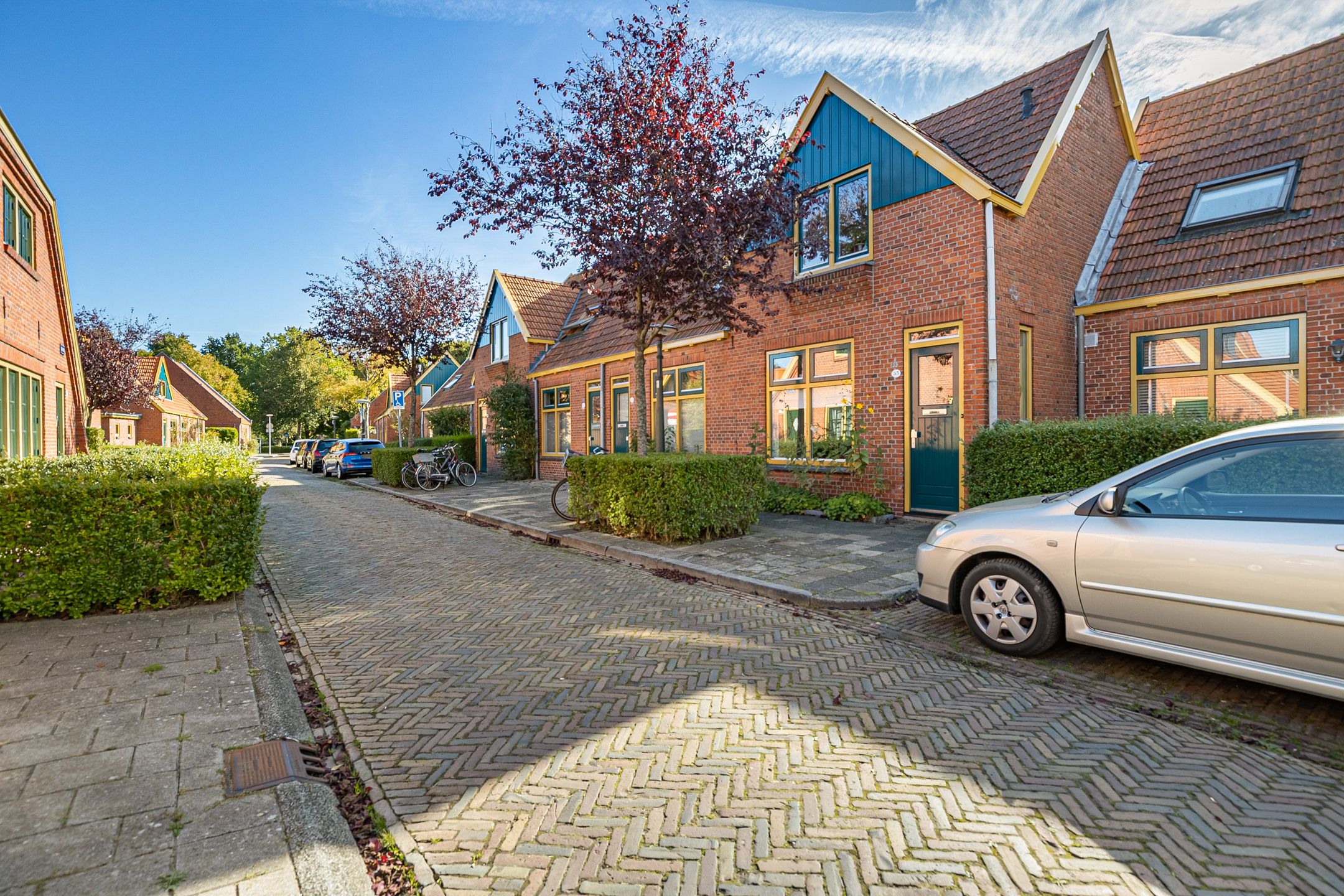 Foto 9 van Graspad 53