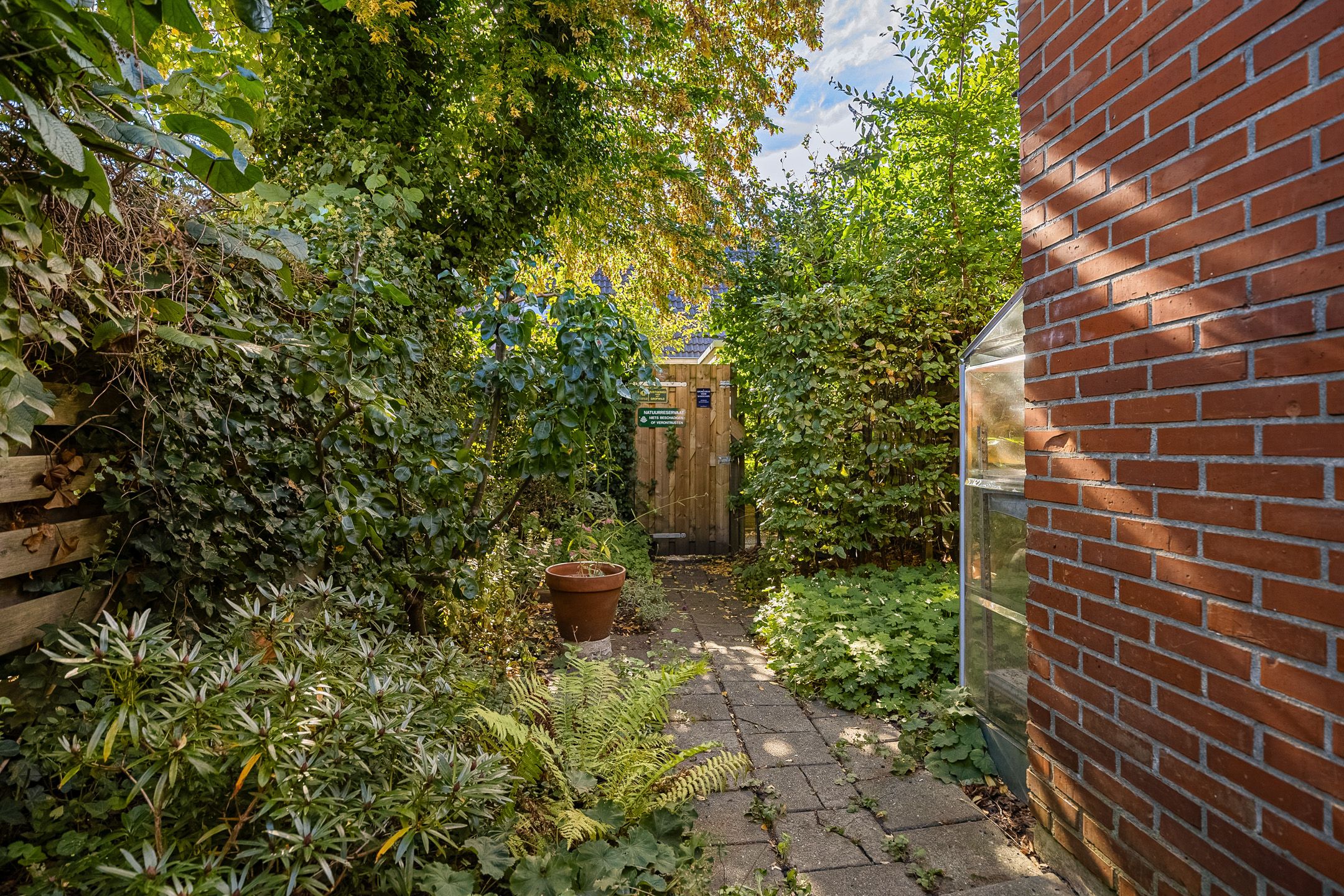 Foto 45 van Graspad 53