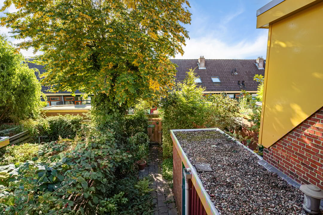 Foto 46 van Graspad 53