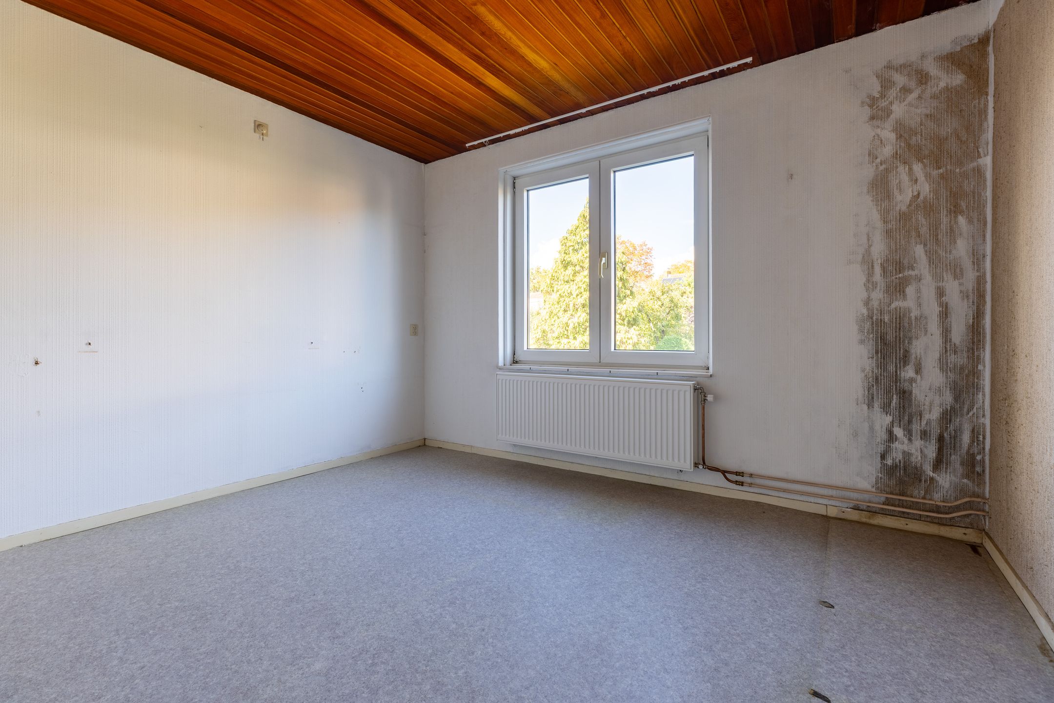 Foto 21 van Prinses Beatrixlaan 38