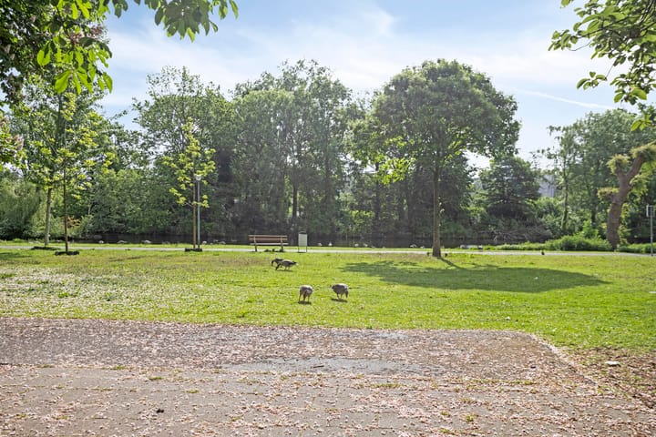 Photo 28 of Nassaustate 1