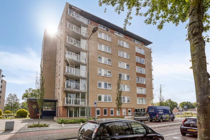 Photo 29 of Nassaustate 1