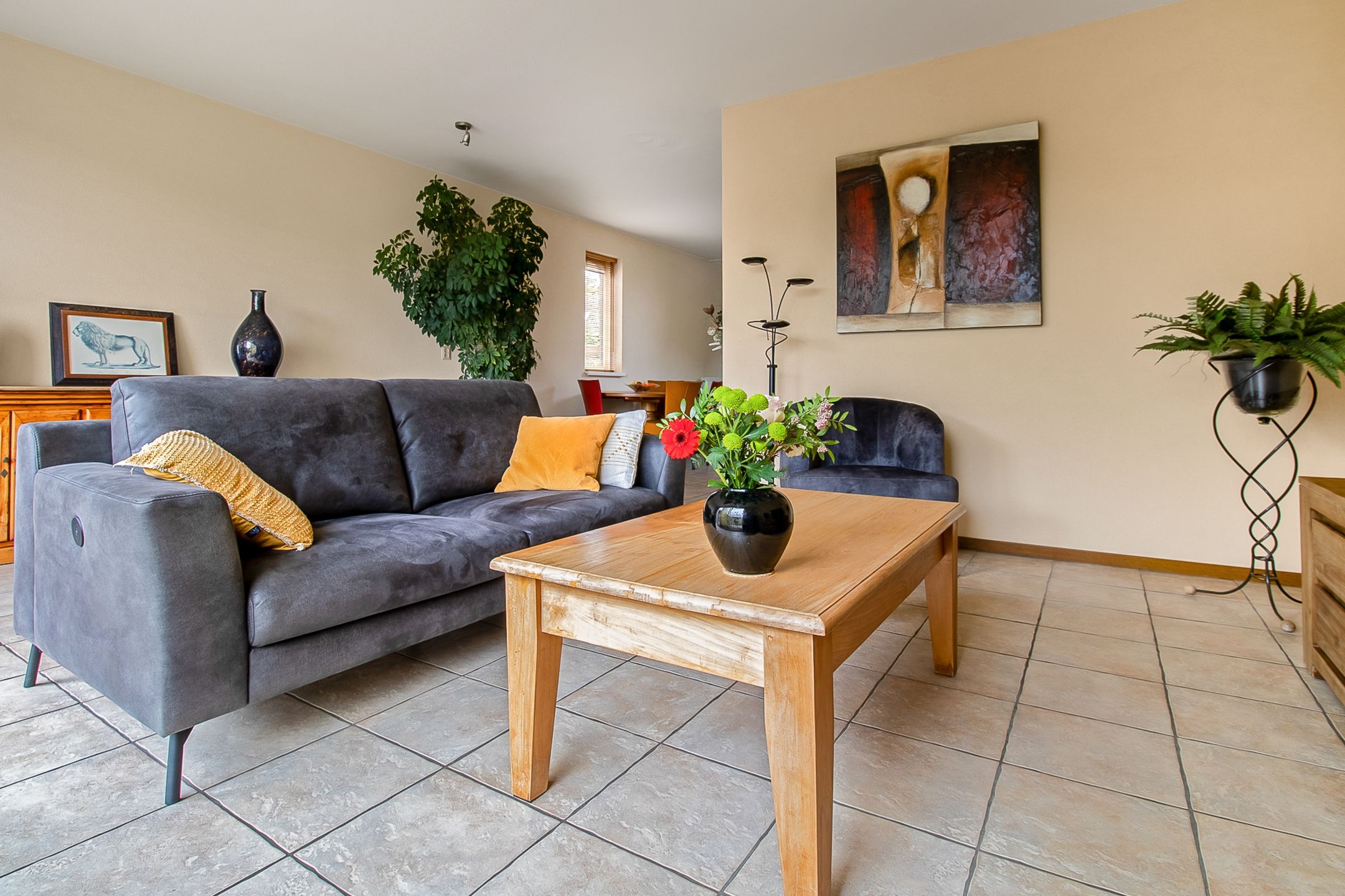 Photo 9 of Diamant 50