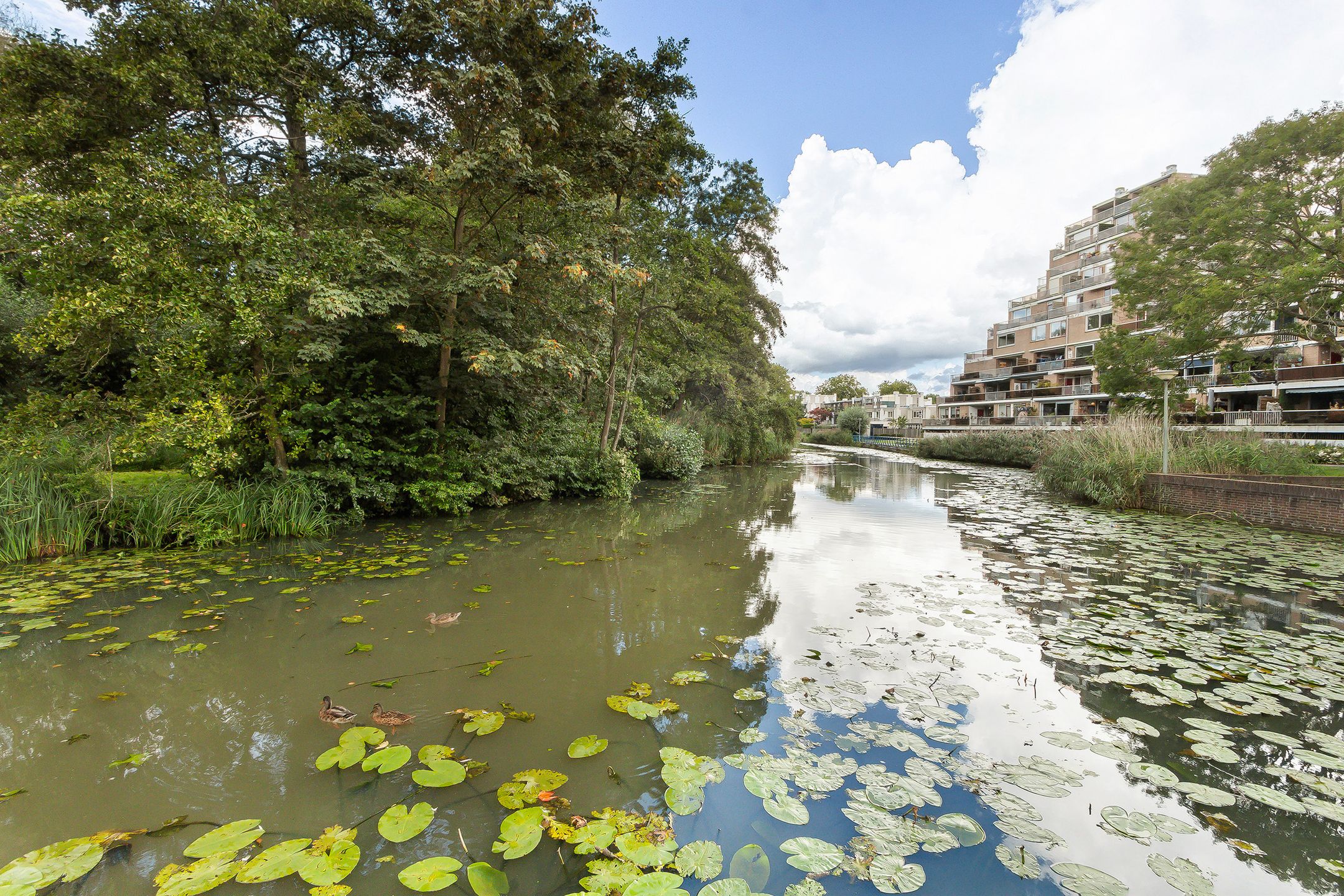 Foto 42 van Toutenburg 115