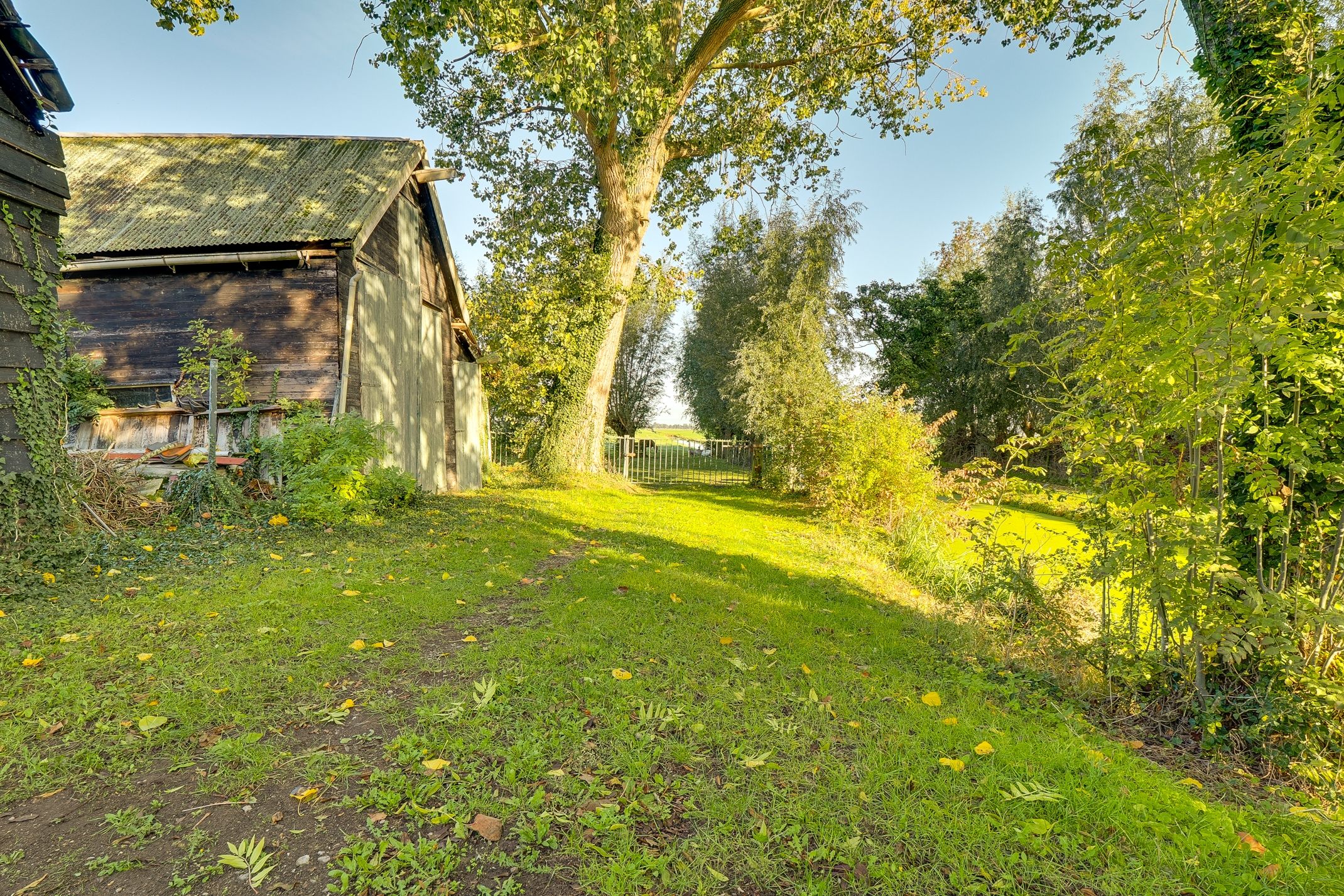 Foto 45 van Lopikerweg oost 29-A