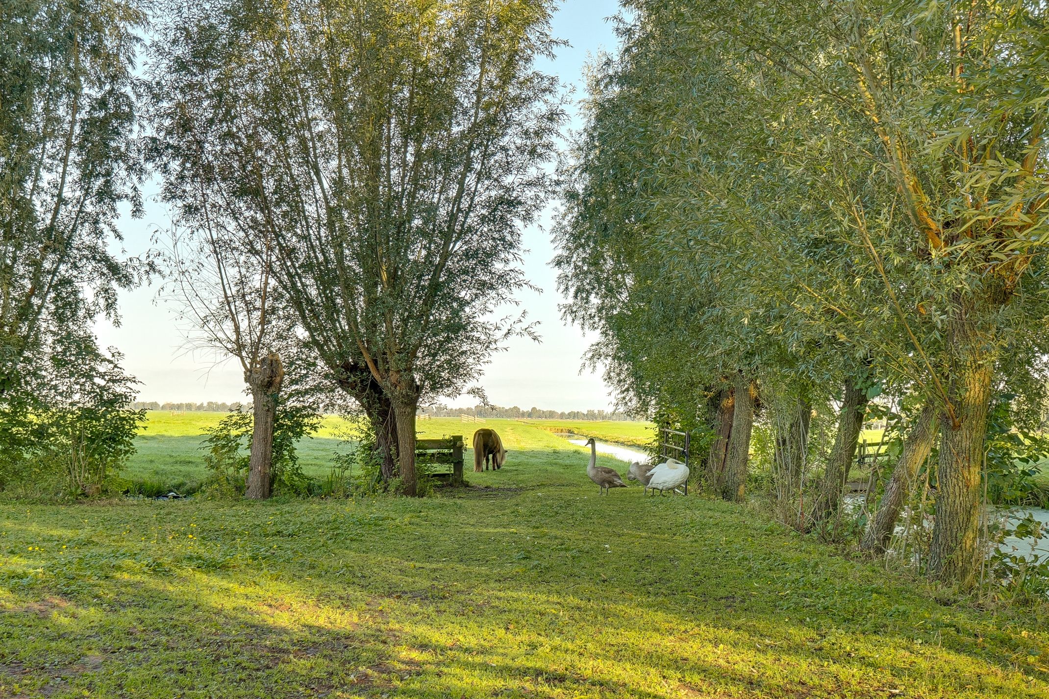 Foto 48 van Lopikerweg oost 29-A