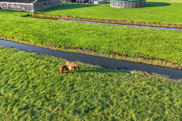 Foto 52 van Lopikerweg oost 29-A