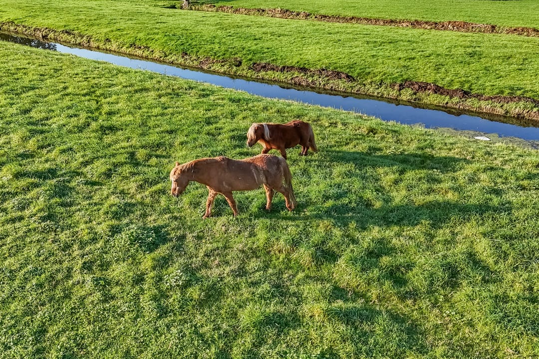 Foto 53 van Lopikerweg oost 29-A