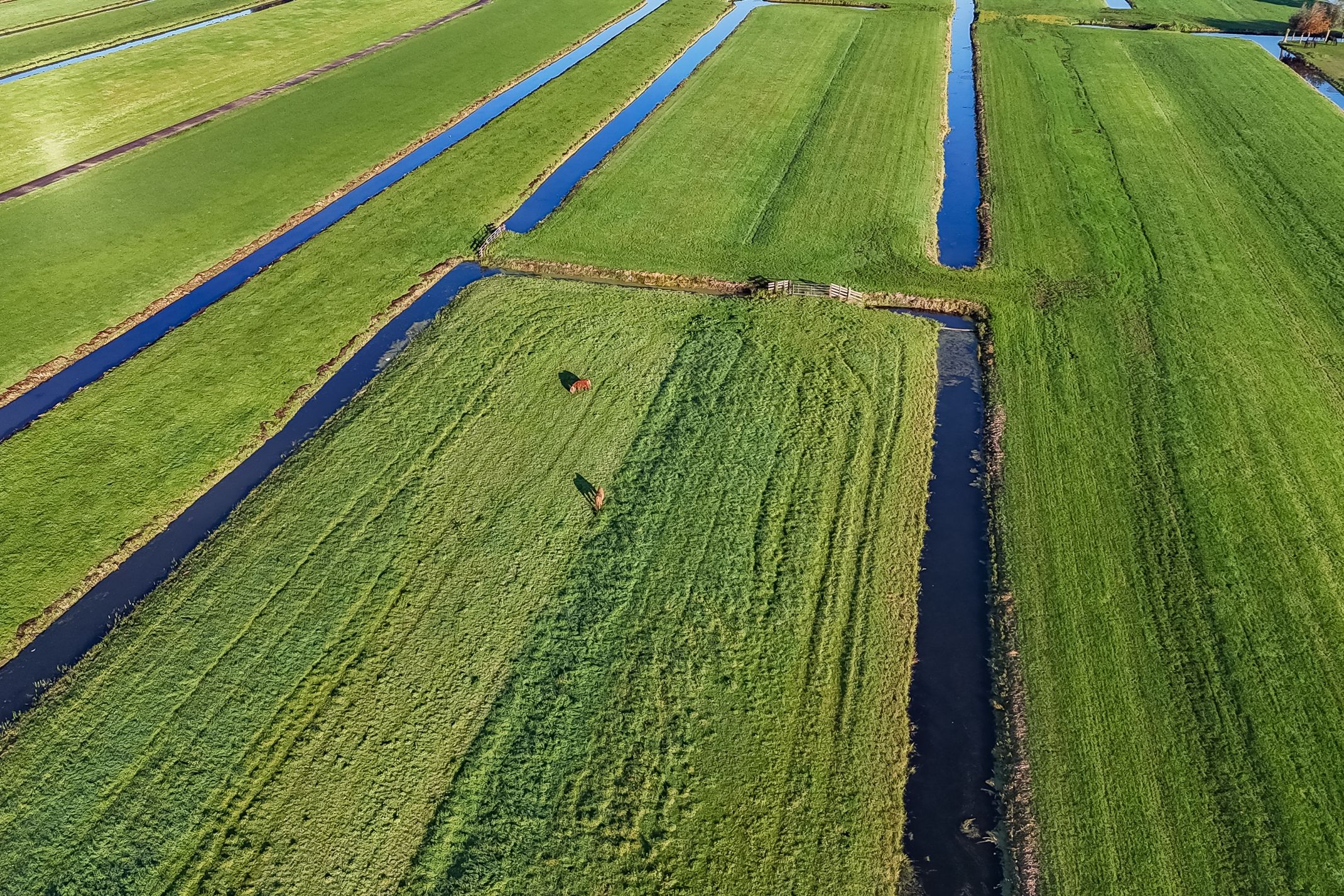 Foto 57 van Lopikerweg oost 29-A